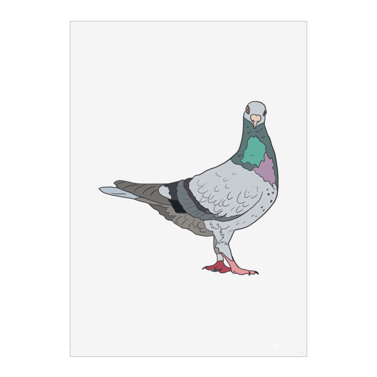 'What U Looking At? Pigeon' Wall Art Poster - A2 Portrait - Unframed Wall Art Print for Home Decor - 594mm / 23.4in (PP00239941)