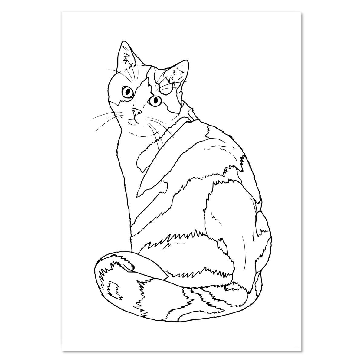 A2 'Curious Calico Cat' Wall Poster / Print (PP00299871)