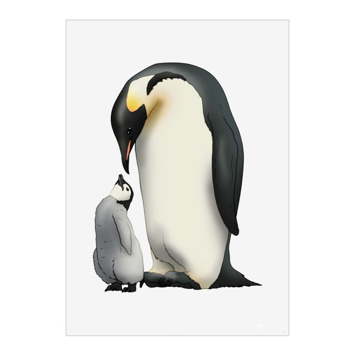 'Penguin Family' Wall Art Poster - A2 Portrait - Unframed Wall Art Print for Home Decor - 594mm / 23.4in (PP00300027)
