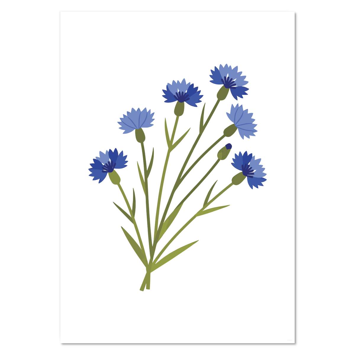 A2 'Bunch Of Cornflowers' Wall Poster / Print (PP00356804)