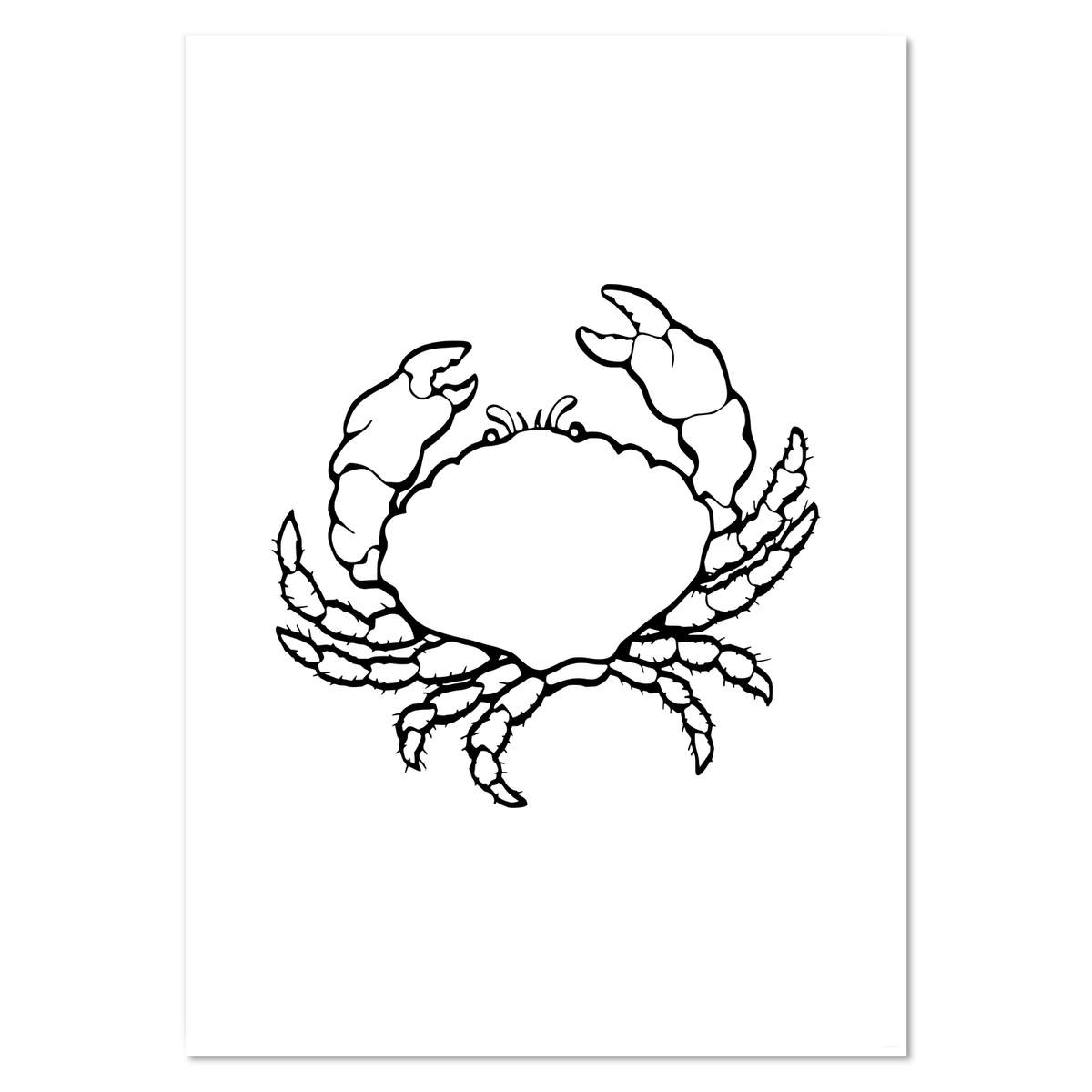 A2 'Seaside Crab' Wall Poster / Print (PP00359175)