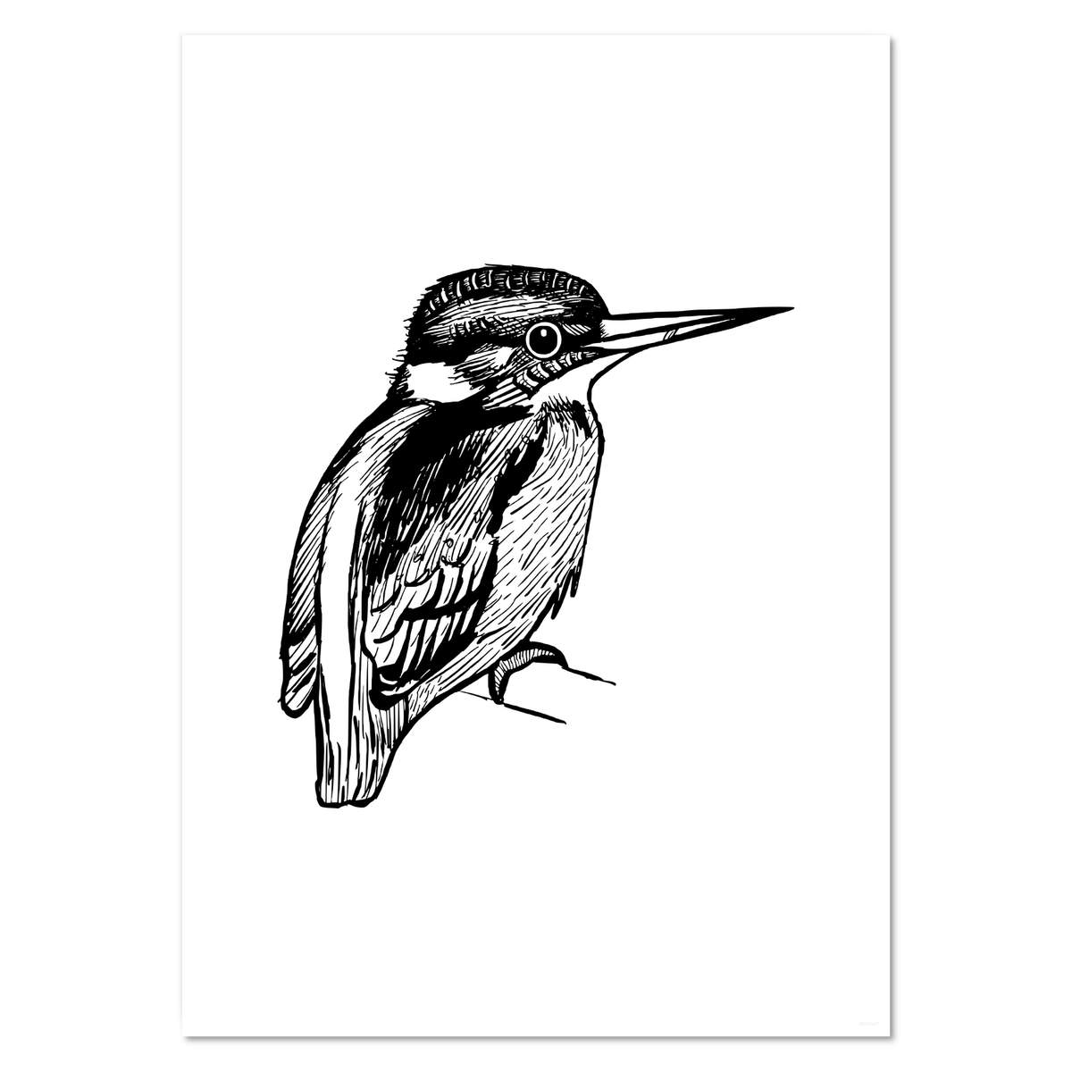 A3 'Kingfisher' Wall Poster / Print (PP00010411)