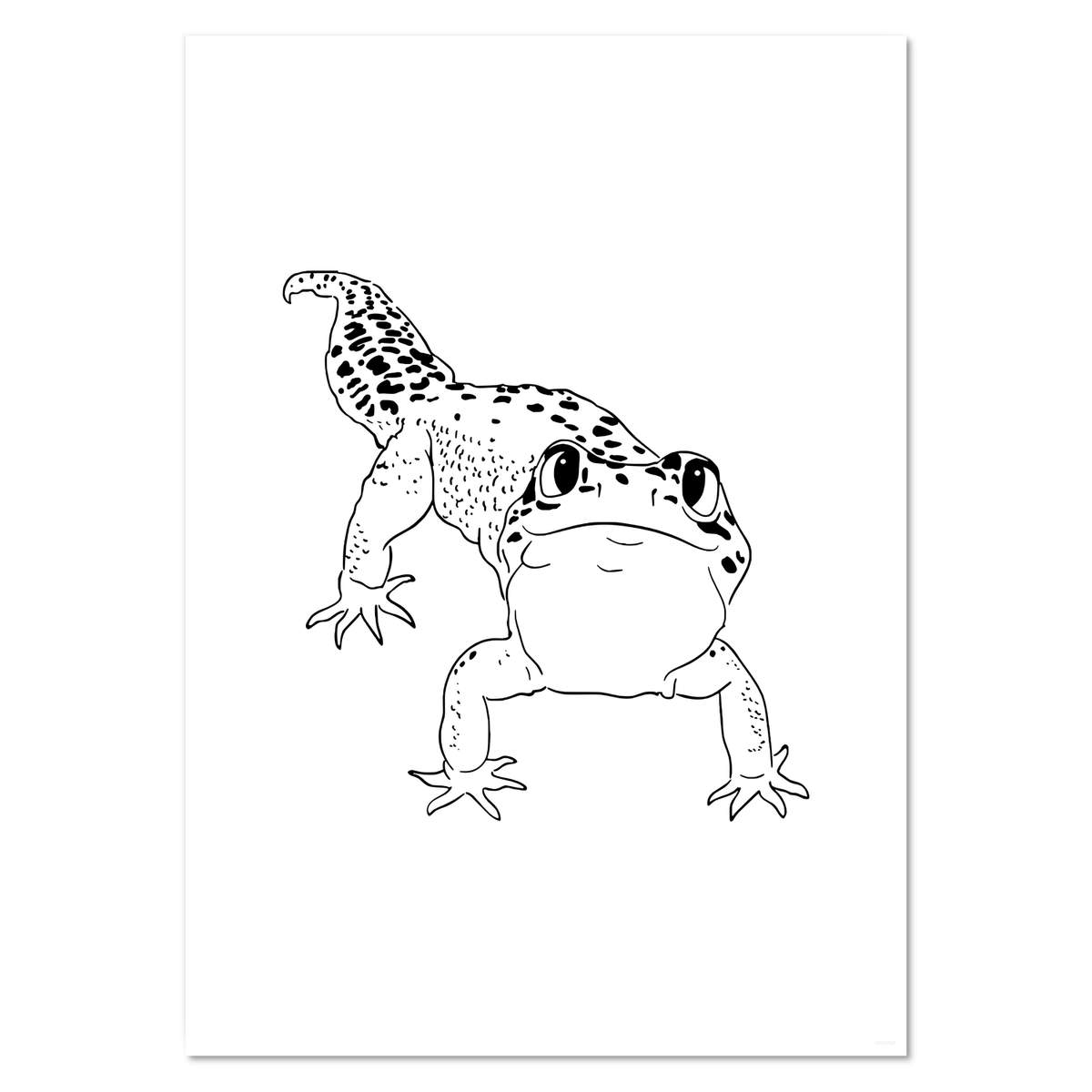 A3 'Happy Leopard Gecko' Wall Poster / Print (PP00063827)