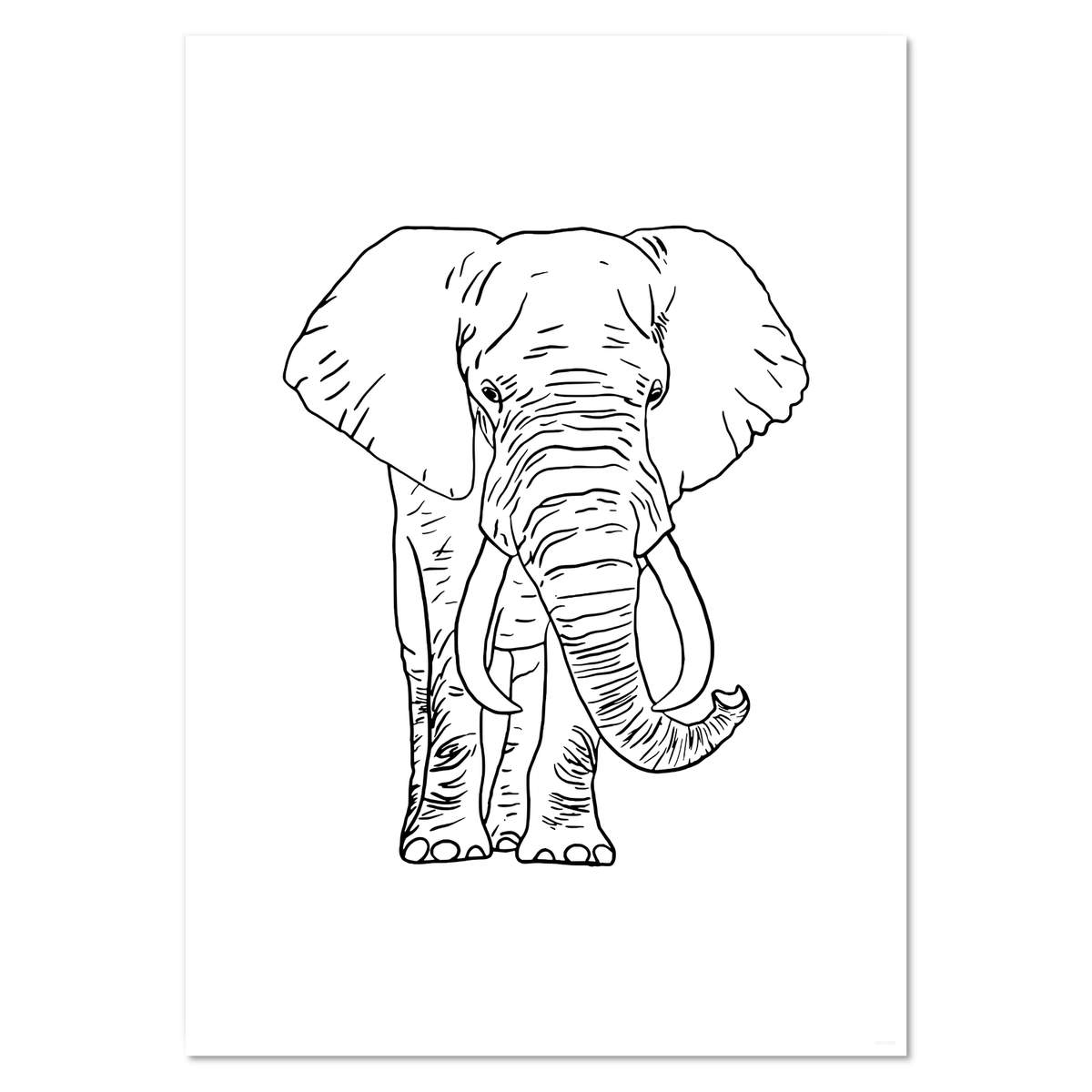 A3 'Elephant' Wall Poster / Print (PP00074339)