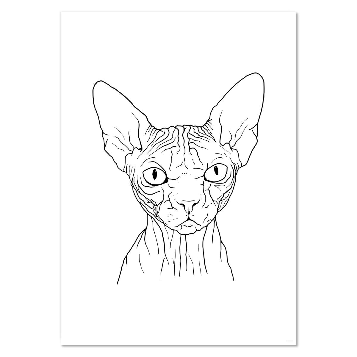 A3 'Sphynx Cat' Wall Poster / Print (PP00139143)