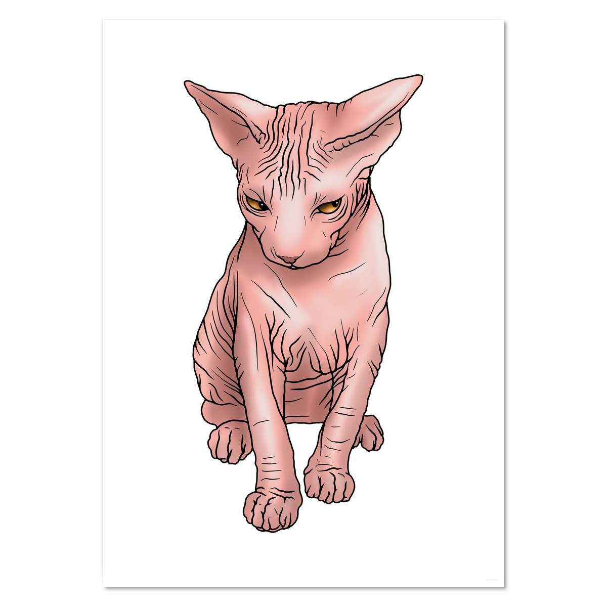 A3 'Grumpy Sphynx Cat' Wall Poster / Print (PP00178990)