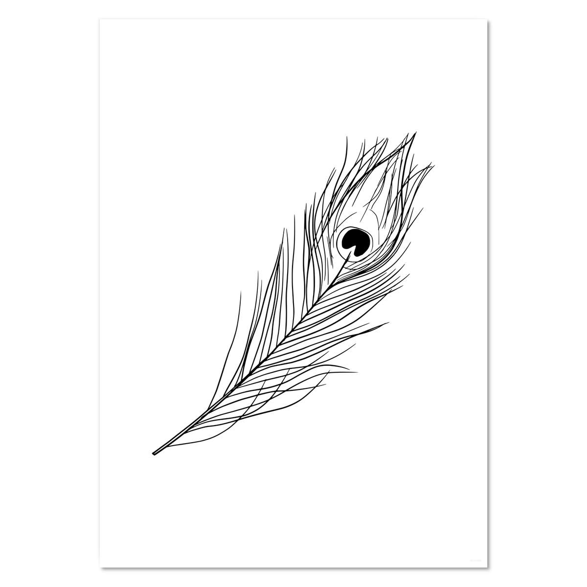 A3 'Peacock Feather' Wall Poster / Print (PP00191180)