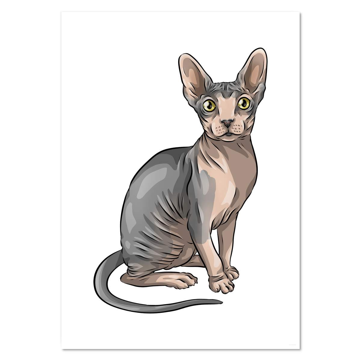 A3 'Sphynx Cat' Wall Poster / Print (PP00194480)
