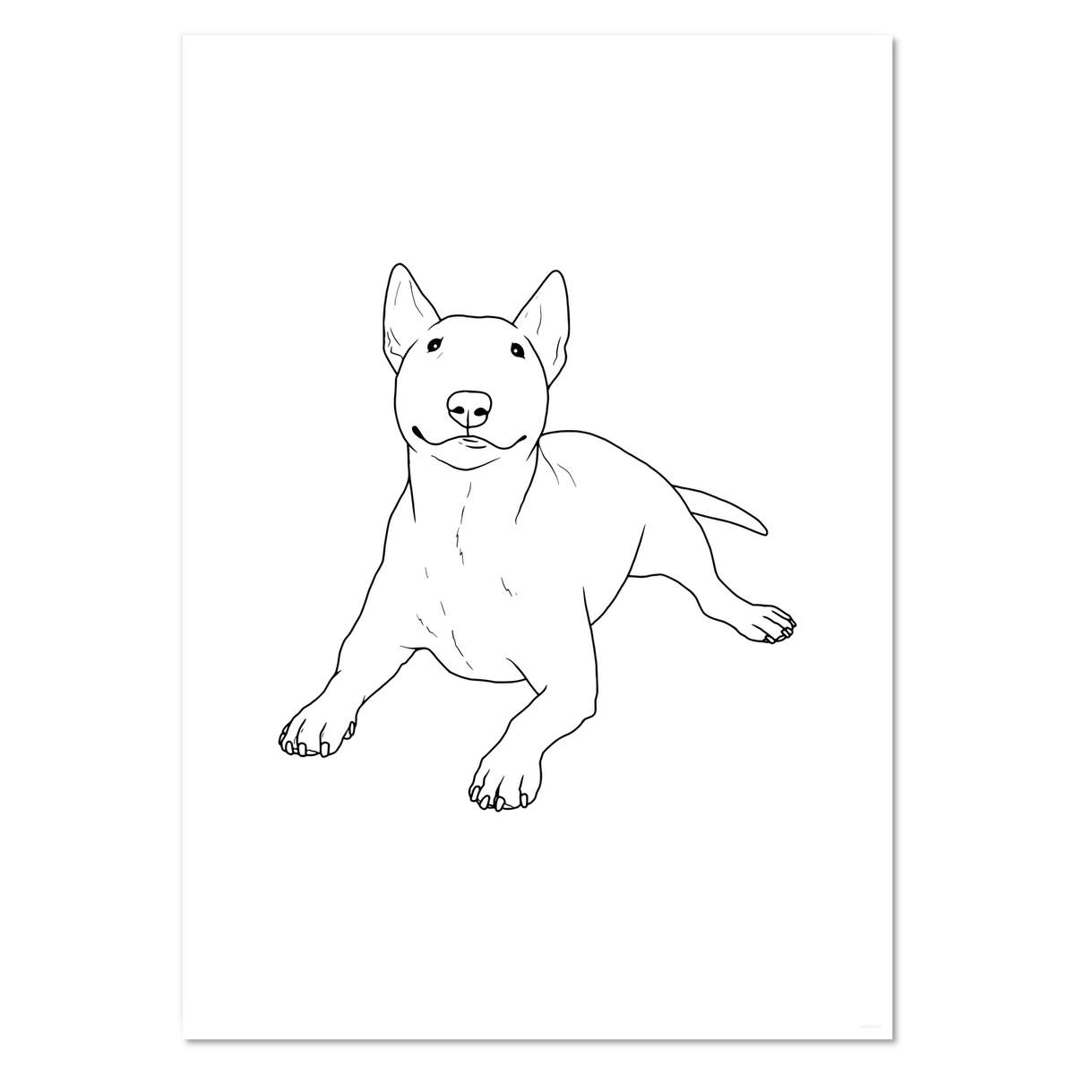 A3 'Cute Bull Terrier' Wall Poster / Print (PP00238974)