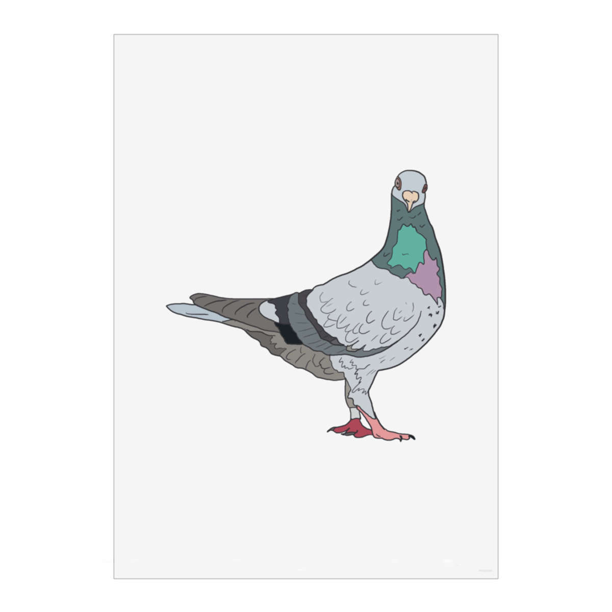 'What U Looking At? Pigeon' Wall Art Poster - A3 Portrait - Unframed Wall Art Print for Home Decor - 420mm / 16.5in (PP00239940)