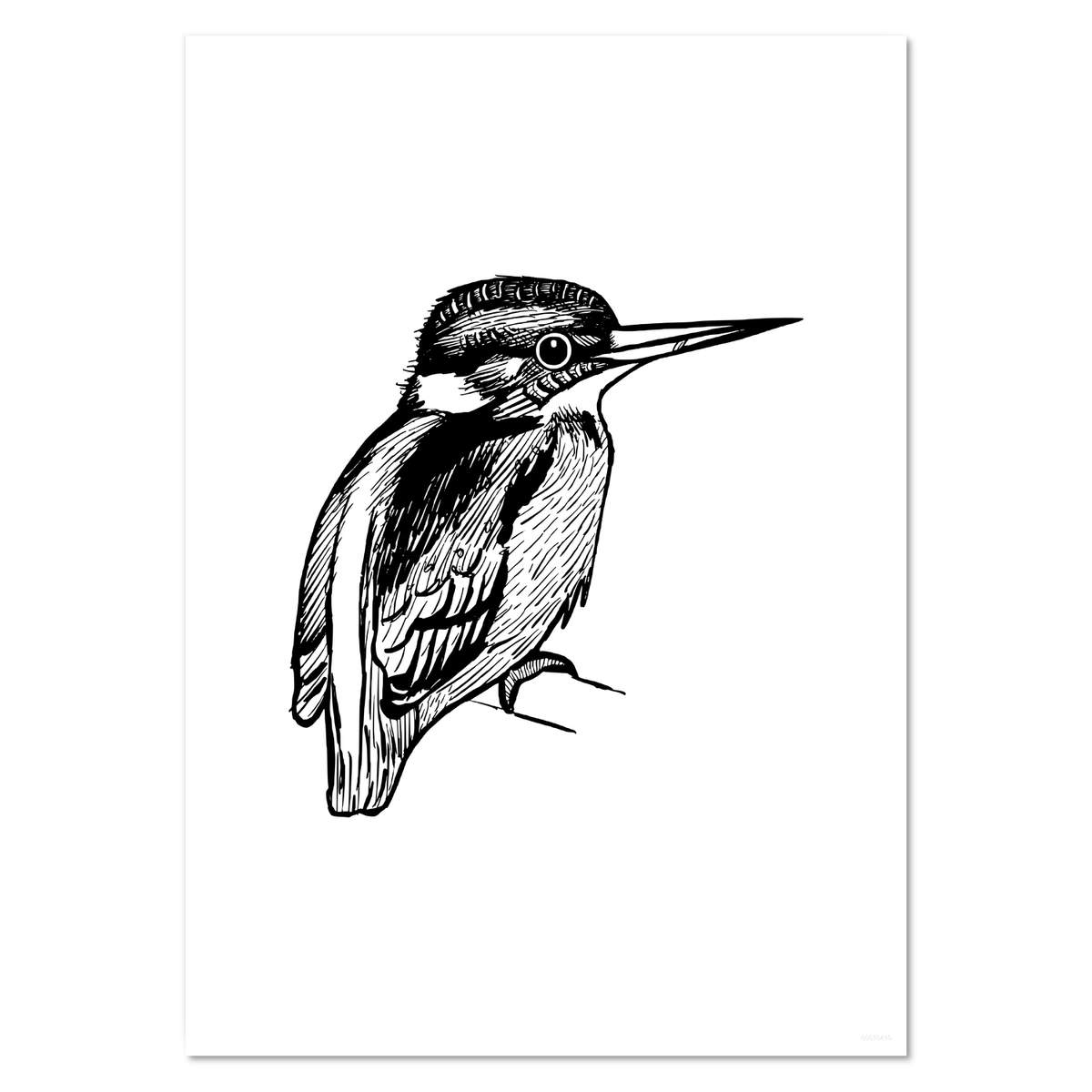 A4 'Kingfisher' Wall Poster / Print (PP00010410)