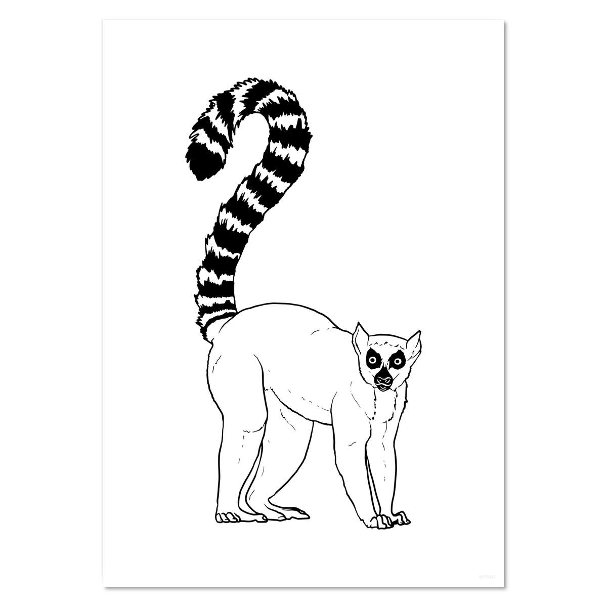 A4 'Ring-Tailed Lemur' Wall Poster / Print (PP00179895)