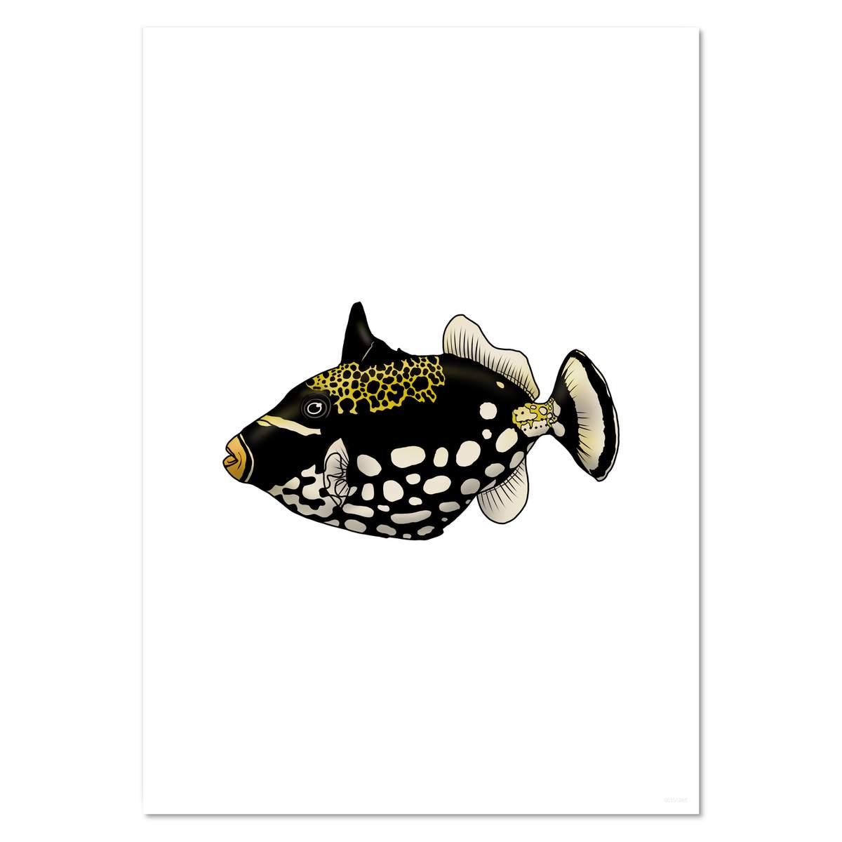 A4 'Clown Triggerfish' Wall Poster / Print (PP00190285)