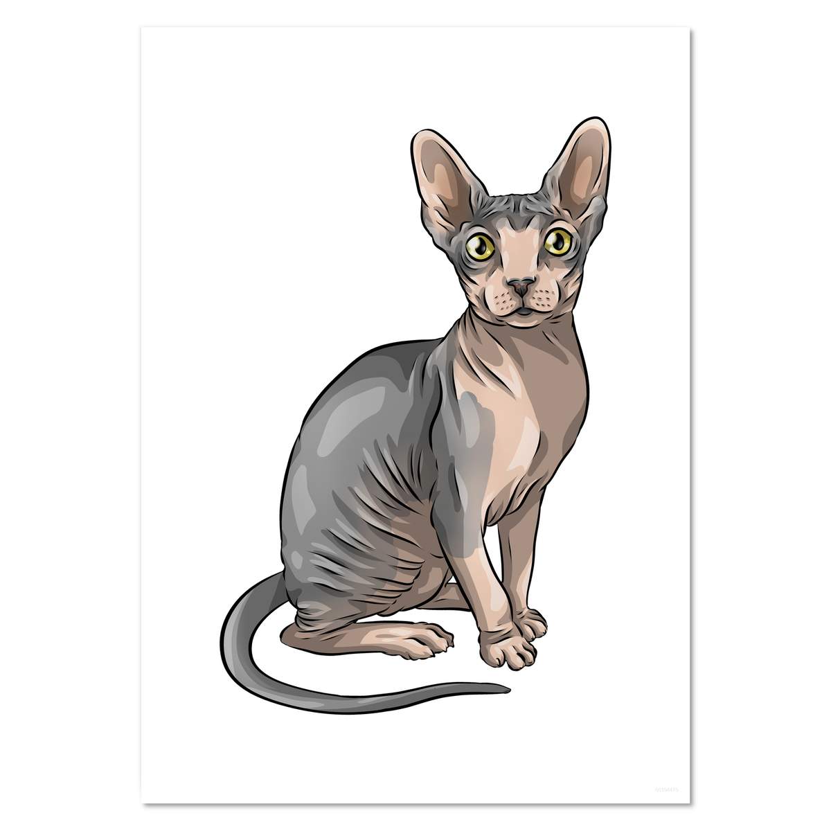 A4 'Sphynx Cat' Wall Poster / Print (PP00194479)