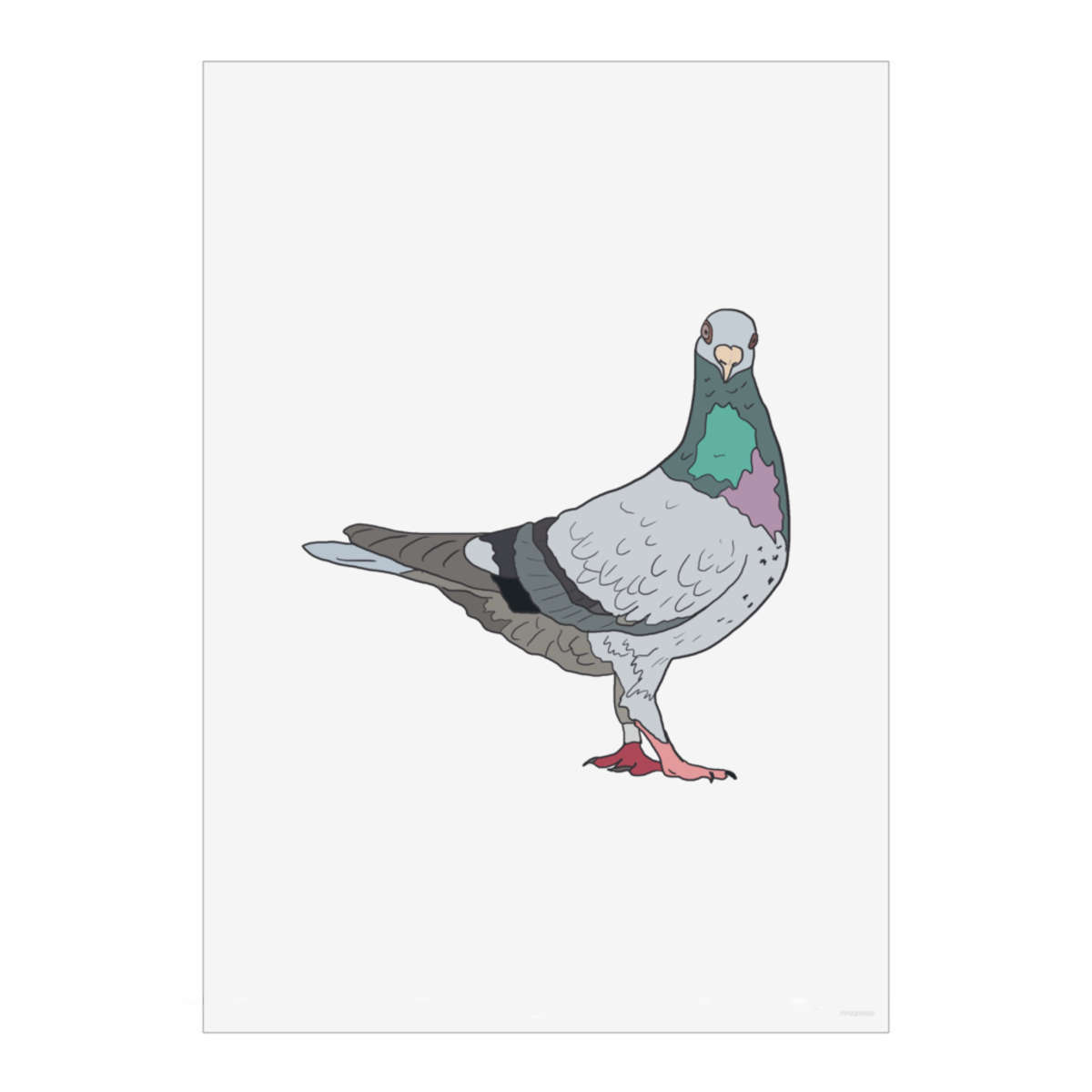'What U Looking At? Pigeon' Wall Art Poster - A4 Portrait - Unframed Wall Art Print for Home Decor - 297mm / 11.7in (PP00239939)