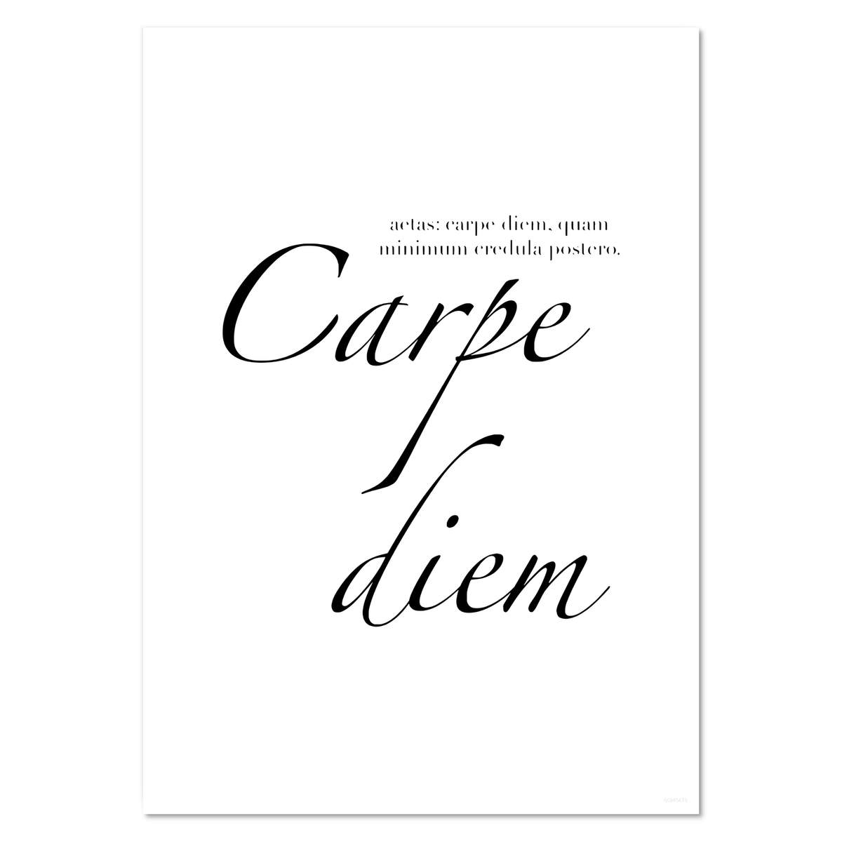 A4 'Carpe Diem Seize the Day Latin Quote Poem Poetry' Wall Poster / Print (PP00240473)