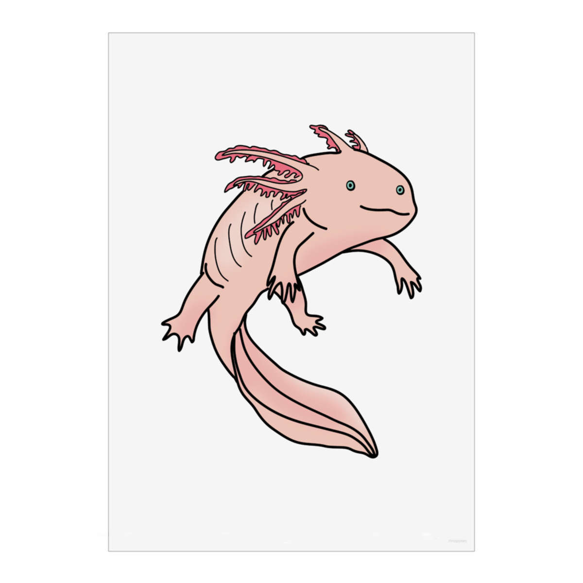 'Axolotl' Wall Art Poster - A4 Portrait - Unframed Wall Art Print for Home Decor - 297mm / 11.7in (PP00293643)