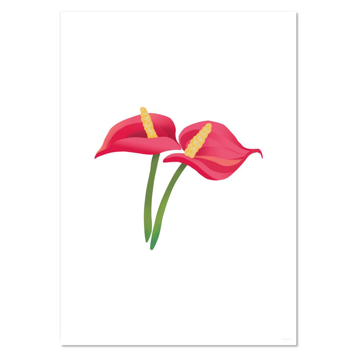 A4 'Red Anthurium Tropical Flower' Wall Poster / Print (PP00298759)