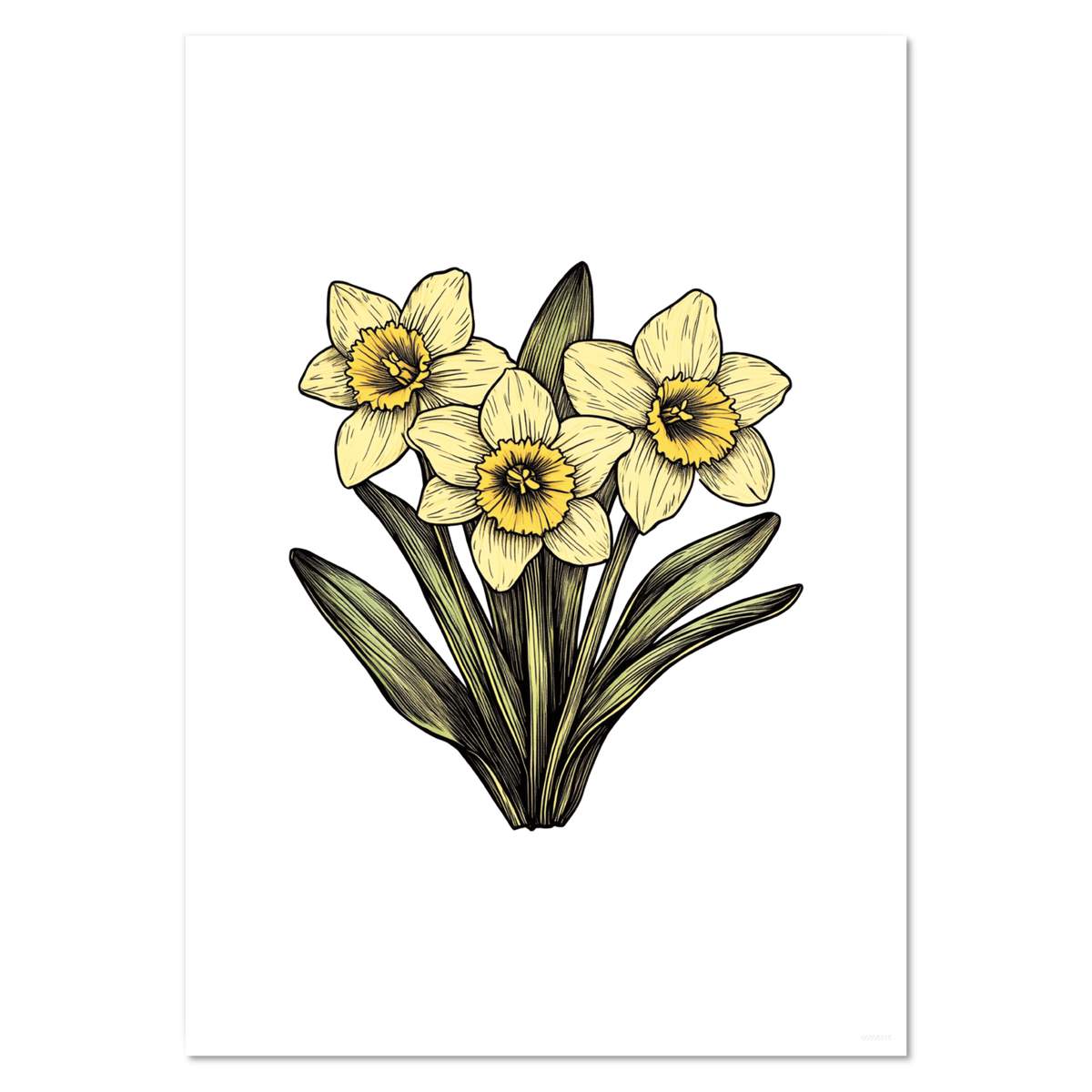 A4 ' Three Daffodils' Wall Poster / Print (PP00306315)