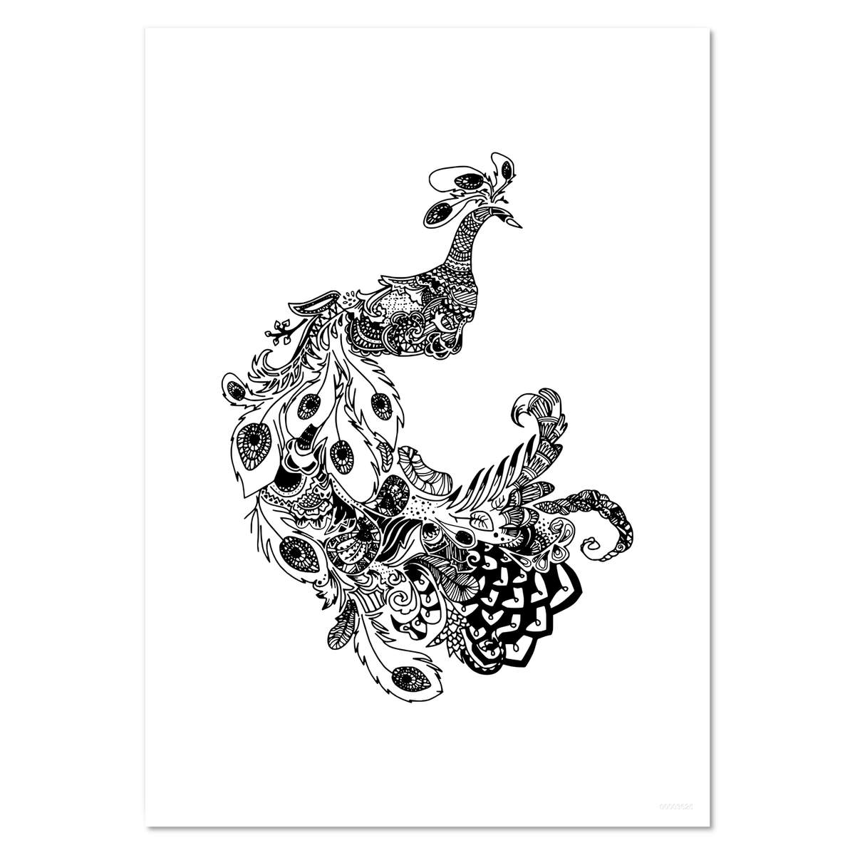 A5 'Detailed Peacock' Wall Poster / Print (PP00003625)