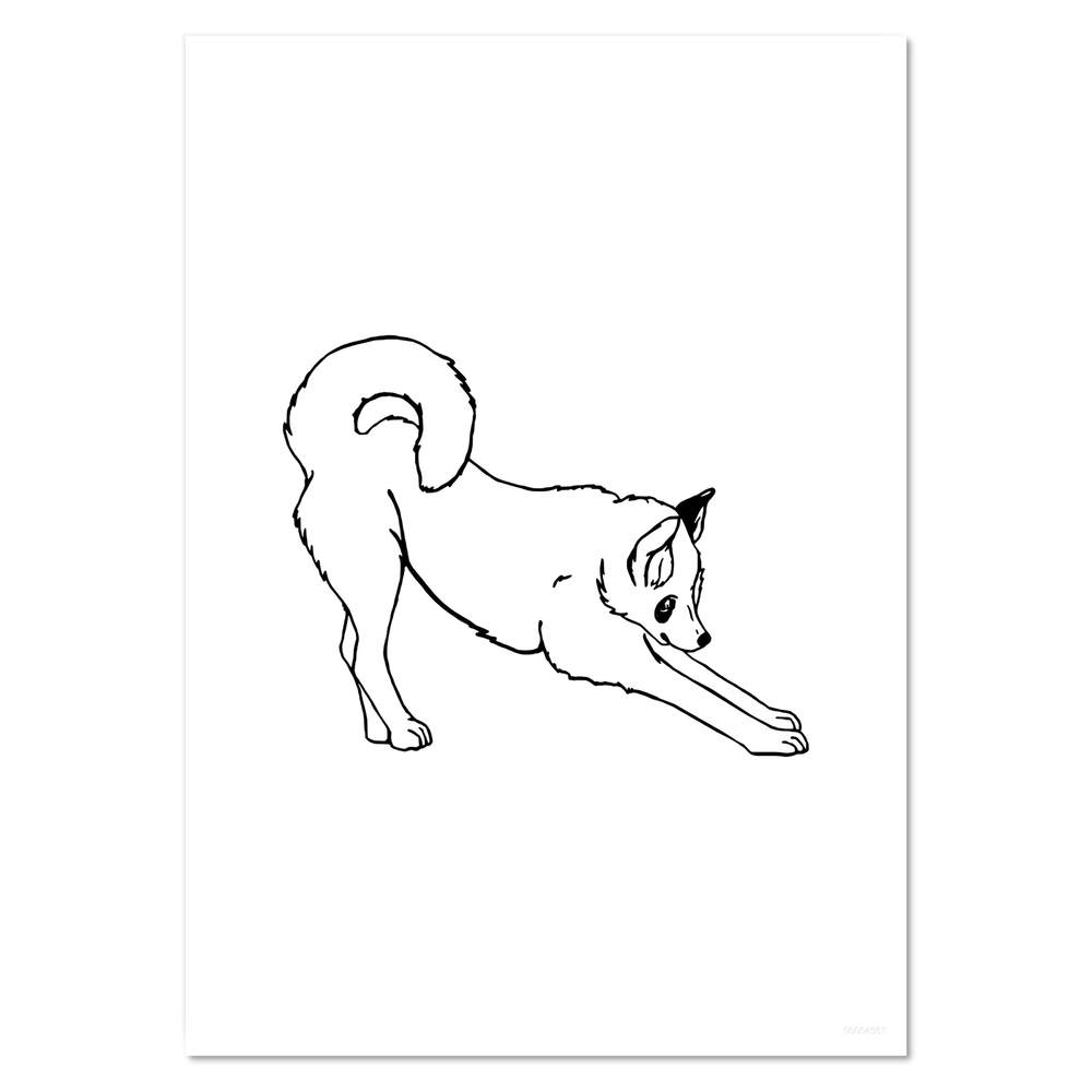 'Husky' Wall Posters PP003386 Sale Special Price Luxury Prints