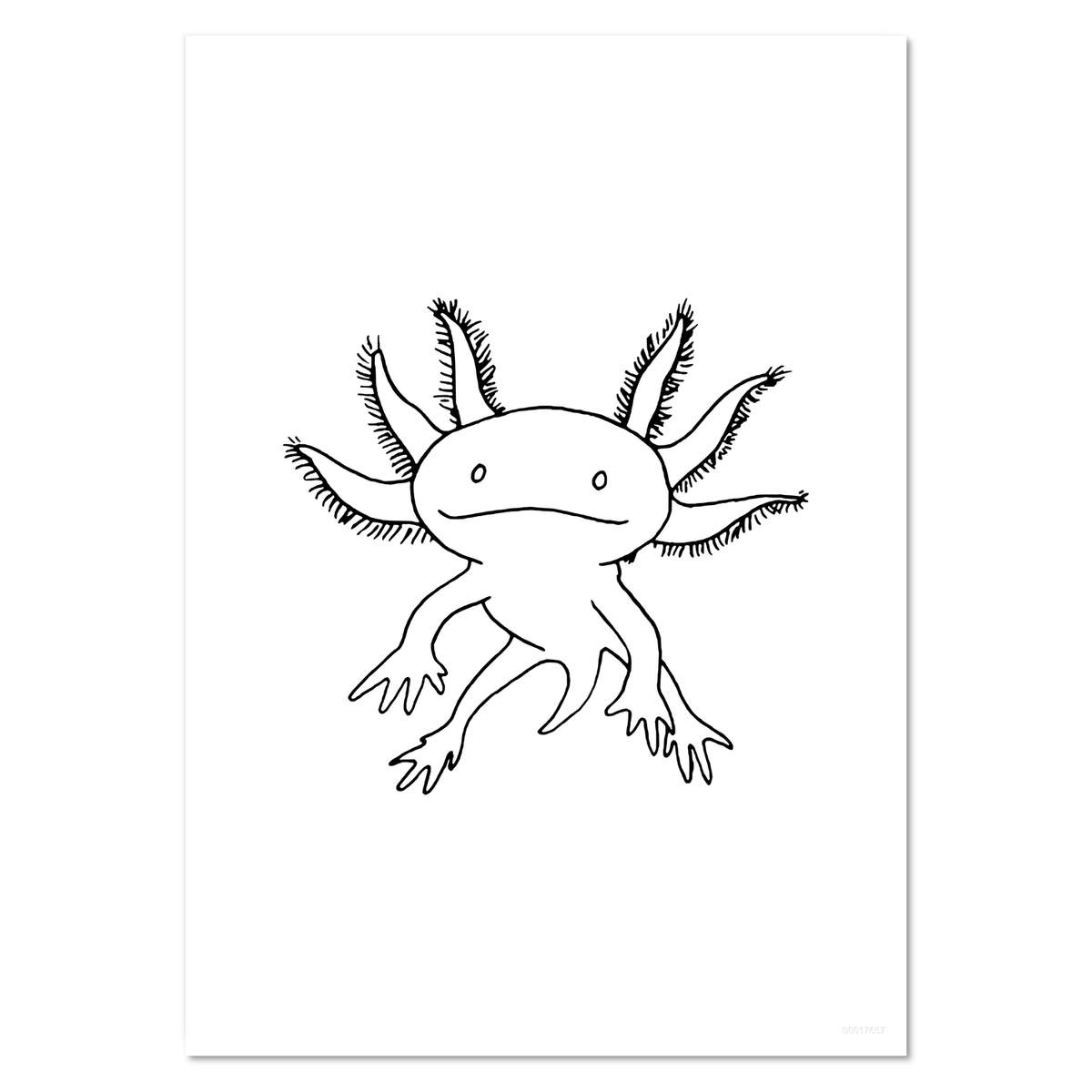 'Axolotl' Wall Posters / Prints (PP013536)