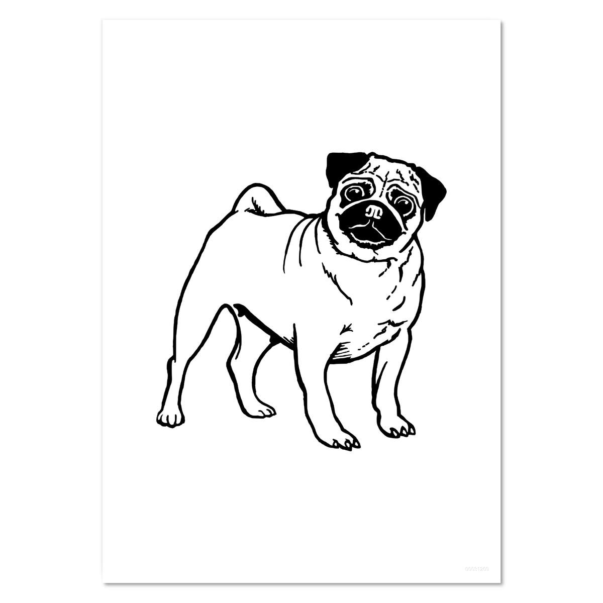 'Pug Dog' Wall Posters / Prints (PP017203)