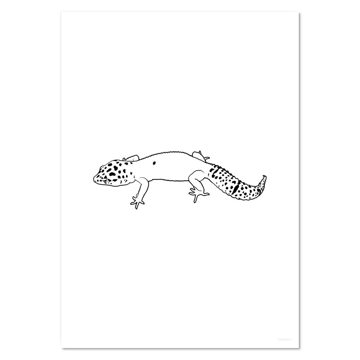 'Leopard Gecko' Wall Posters / Prints (PP014728)