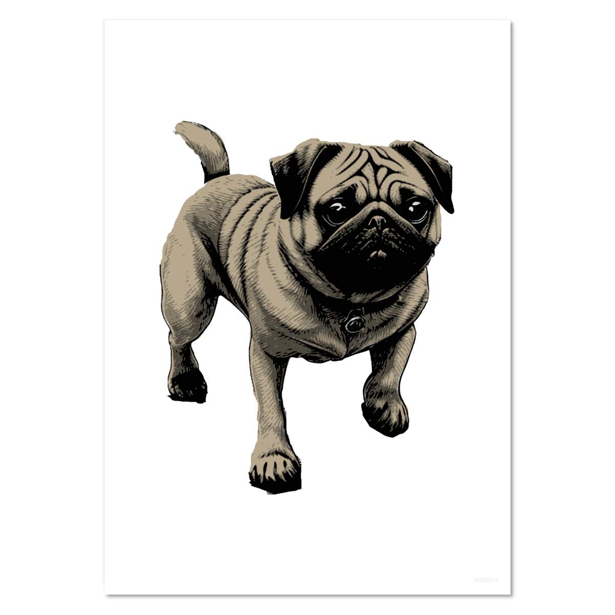 'Pug Dog' Wall Posters / Prints (PP042930)