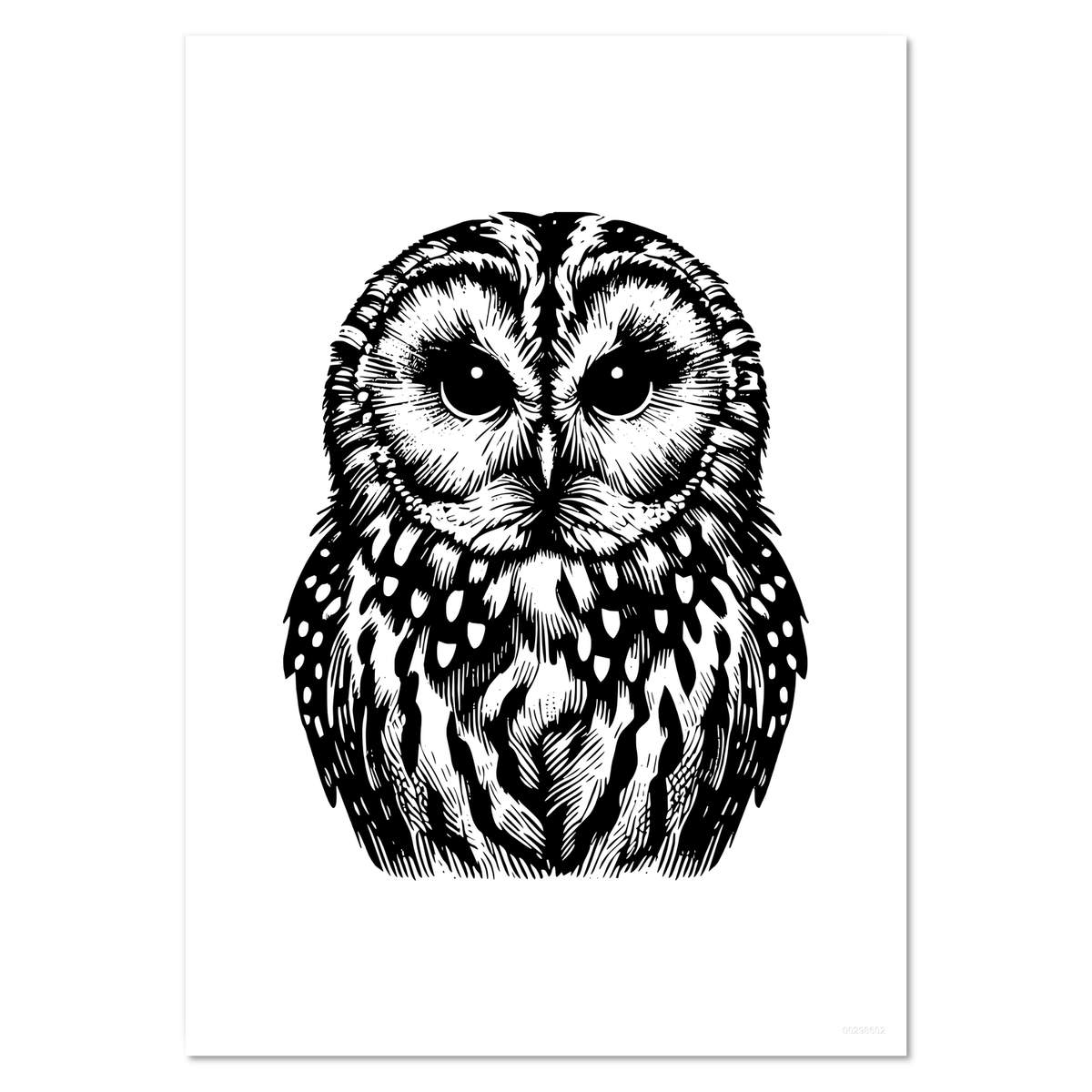 A5 'Tawny Owl' Wall Poster / Print (PP00298602)