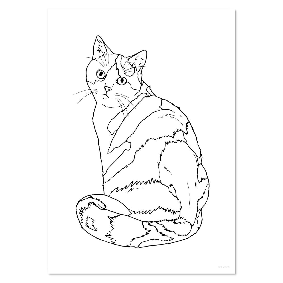 'Curious Calico Cat' Wall Posters / Prints (PP051289)