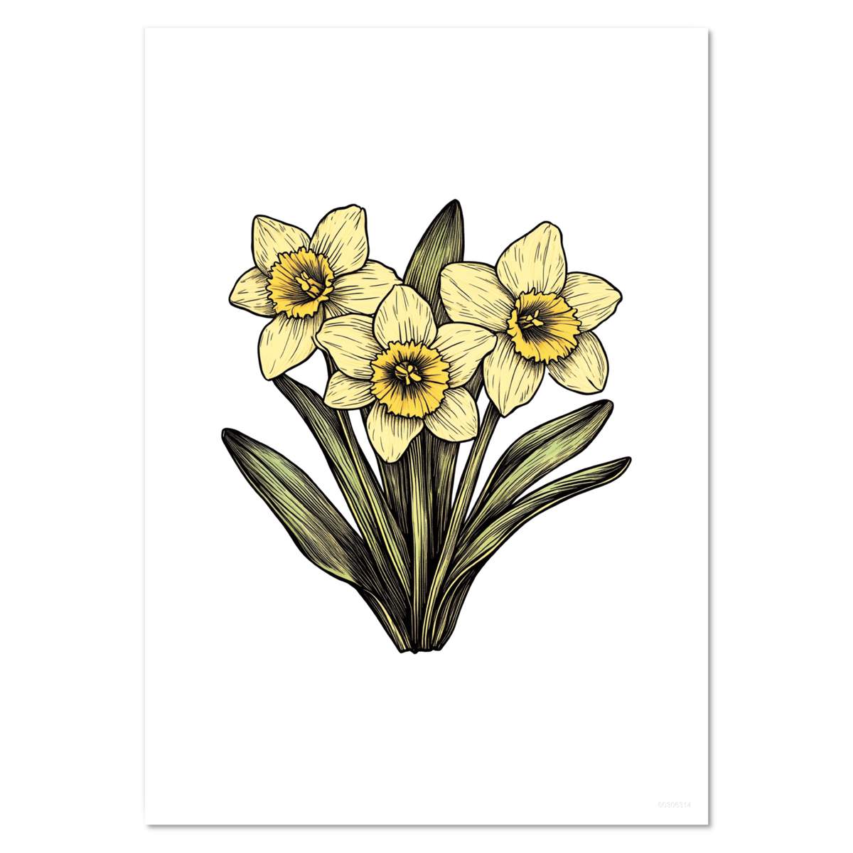 ' Three Daffodils' Wall Posters / Prints (PP052400)