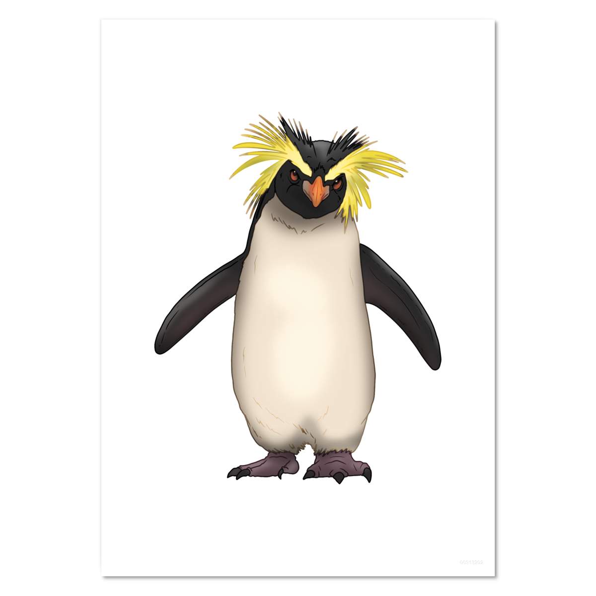 'Rockhopper Penguin' Wall Posters / Prints (PP053608)