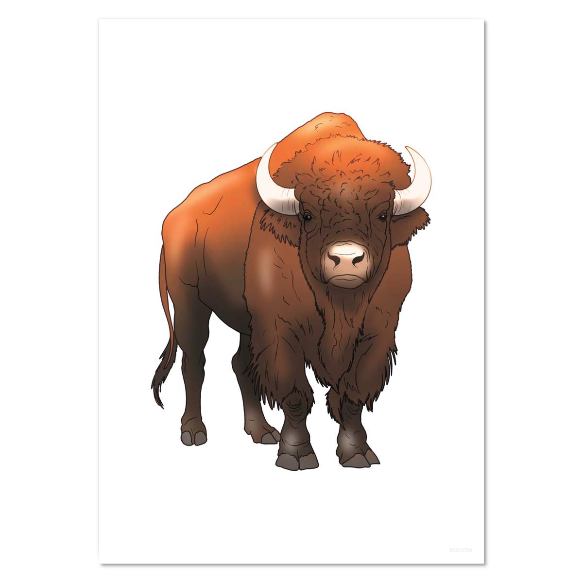 A5 'Wild Bison' Wall Poster / Print (PP00313304)
