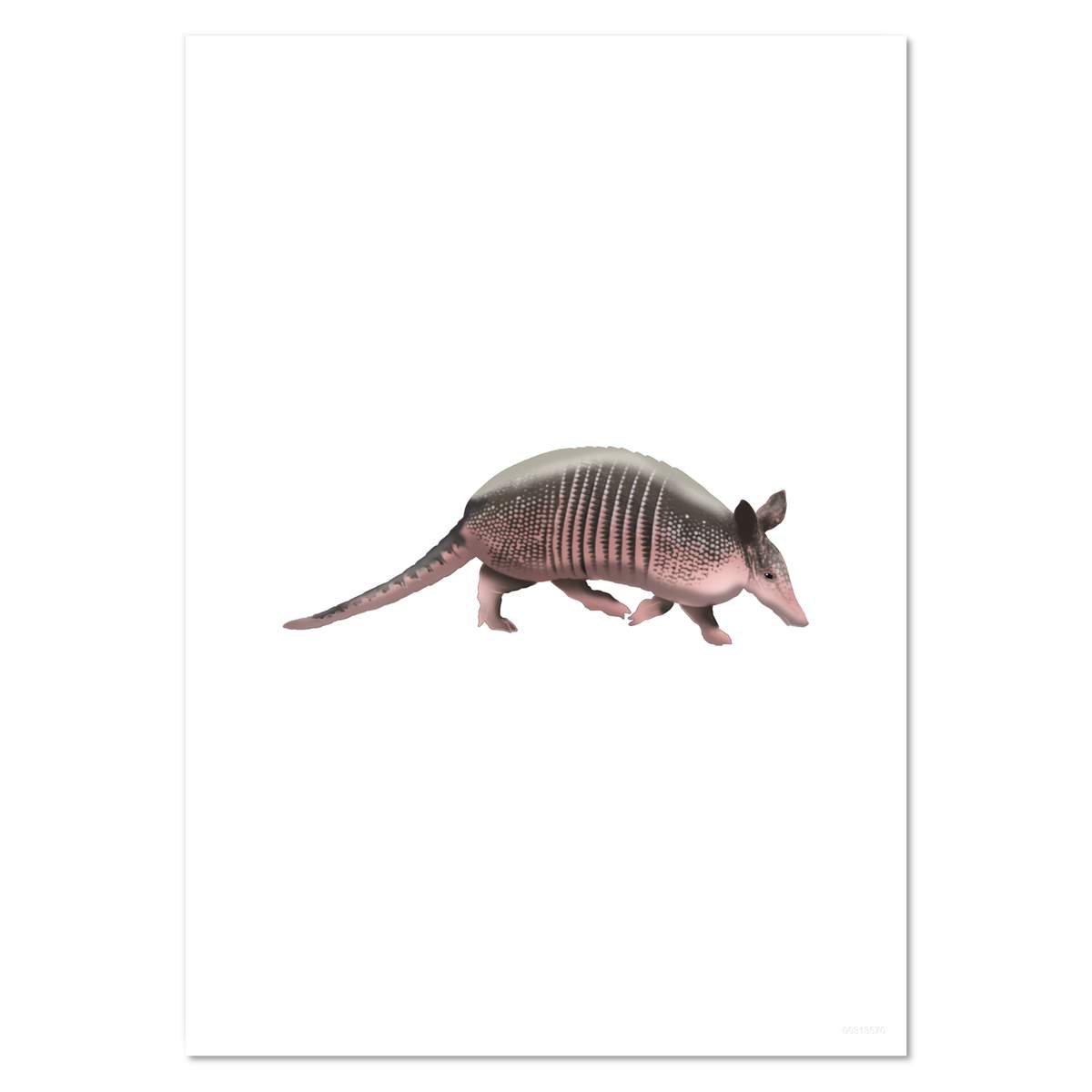 'Armadillo on the Move' Wall Posters / Prints (PP053671)
