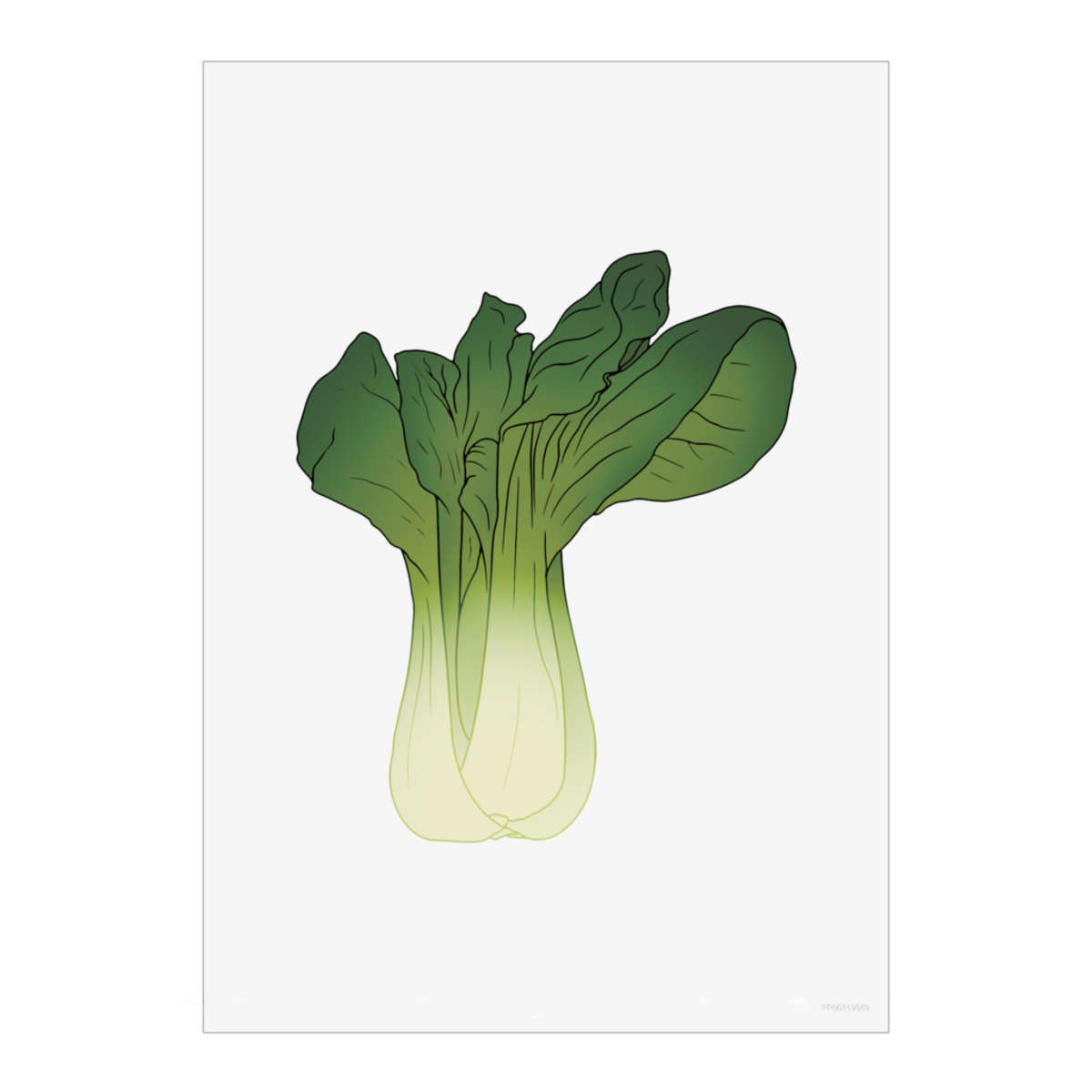 'Bok Choy Vegetable' Unframed Wall Art Poster - Decorative Print for Home Decor (PP054615)