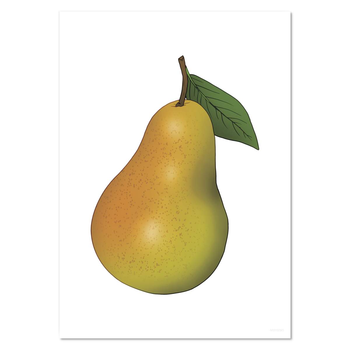 A5 'Ripe Pear Fruit' Wall Poster / Print (PP00319323)