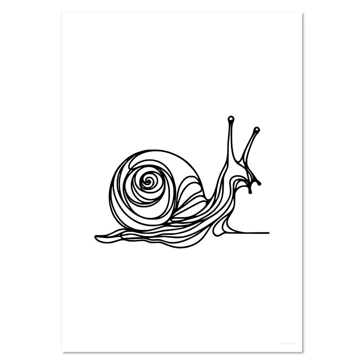 'Curious Snail Doodle' Wall Posters / Prints (PP054930)