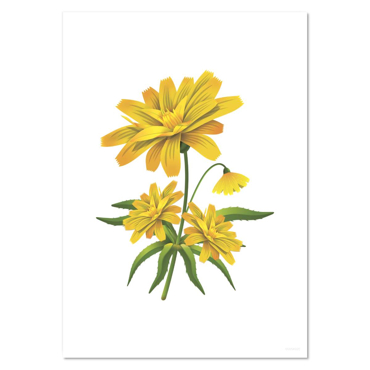 A5 'Daisy Flower' Wall Poster / Print (PP00354095)