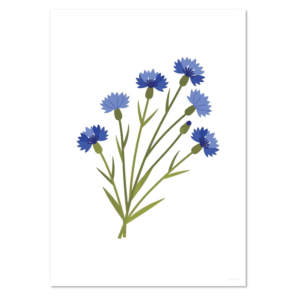 'Bunch Of Cornflowers' Wall Posters / Prints (PP062051)
