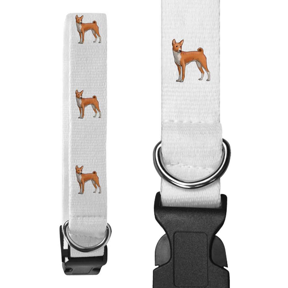 'Basenji' Dog Collars (PR037345) - Picture 9 of 12