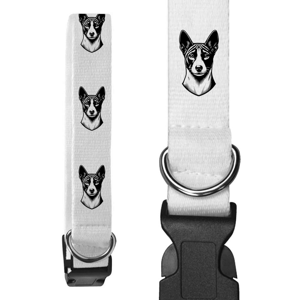 'Basenji' Dog Collars (PR048541) - Picture 9 of 12