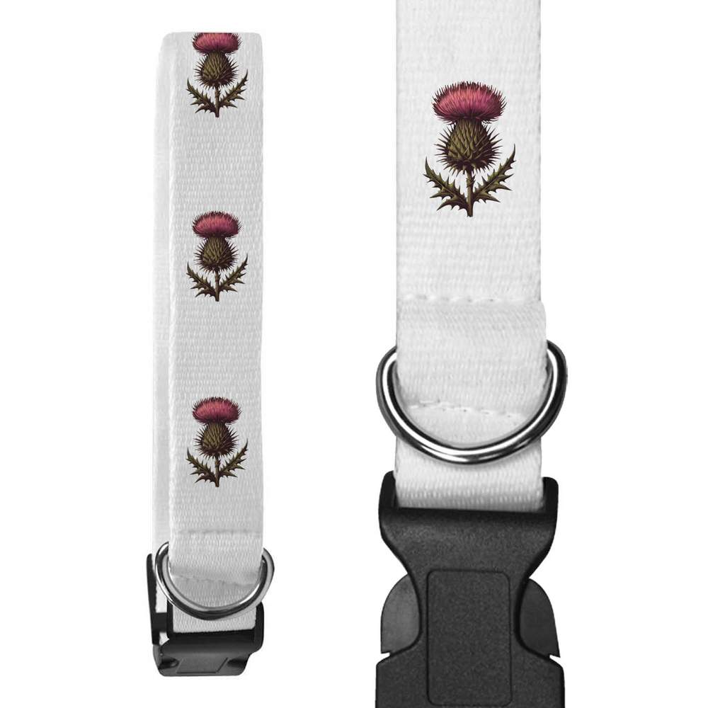 Large 'Scottish Thistle' Dog Collar (PR00057866)