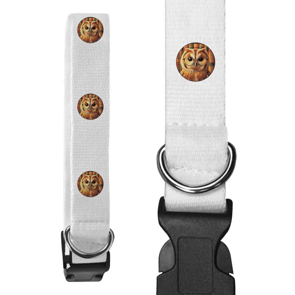 Large 'Tawny Owl Wearing Glasses' Dog Collar (PR00061550)