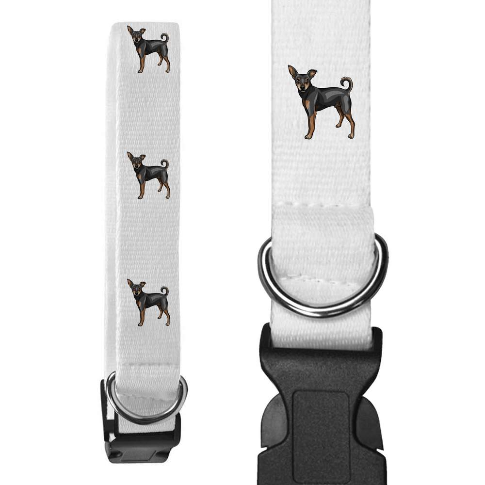 Small 'Miniature Pinscher' Dog Collar (PR00025441)
