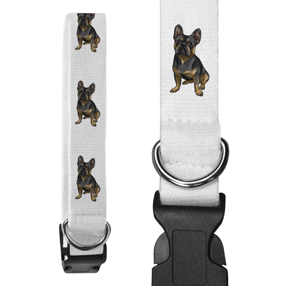 'French Bulldog' Dog Collars (PR036605)