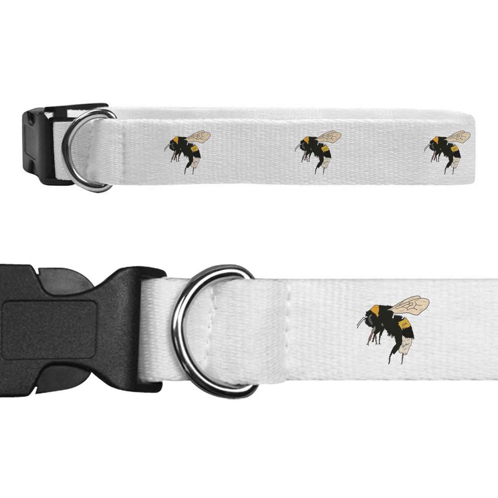 'Honey Bee ' Dog Collars (PR039276)