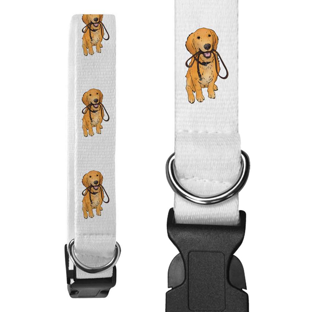 'Golden Retriever Puppy Holding Lead' Dog Collars (PR040508)