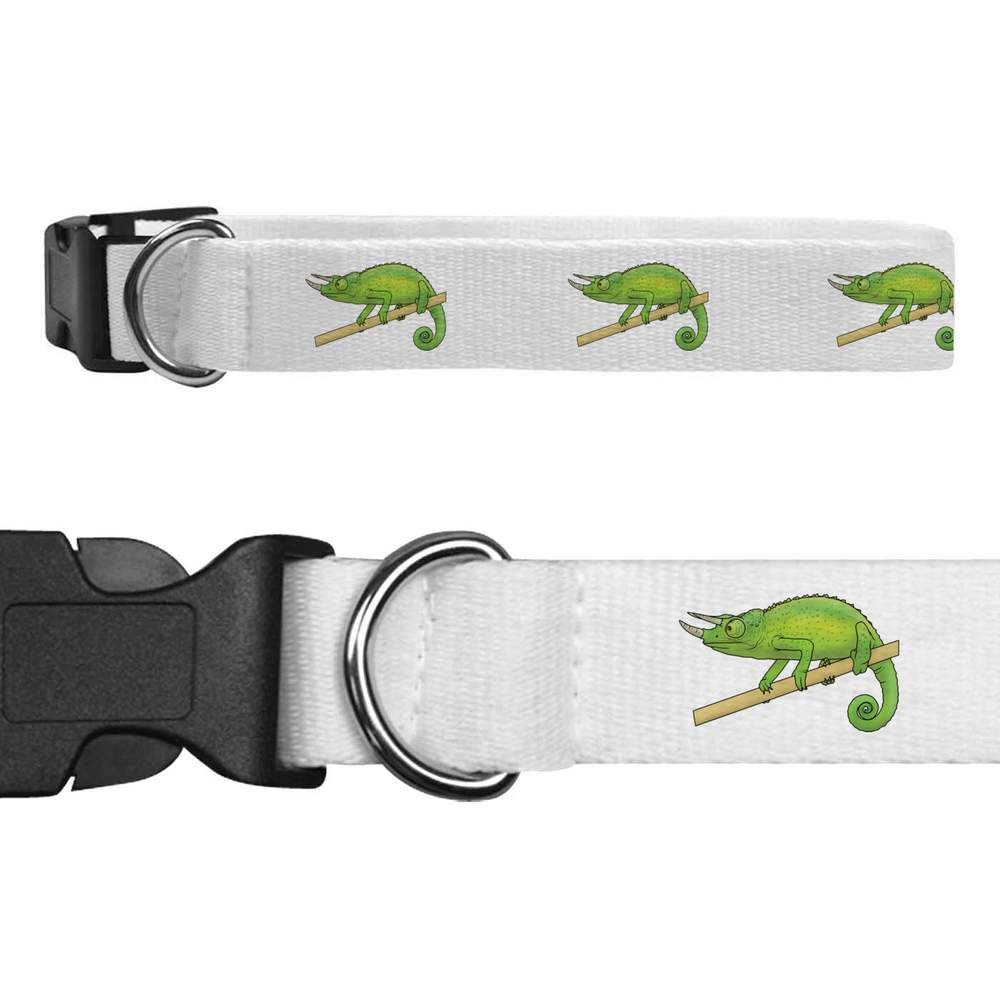 'Jacksons Chameleon' Dog Collars (PR041615)