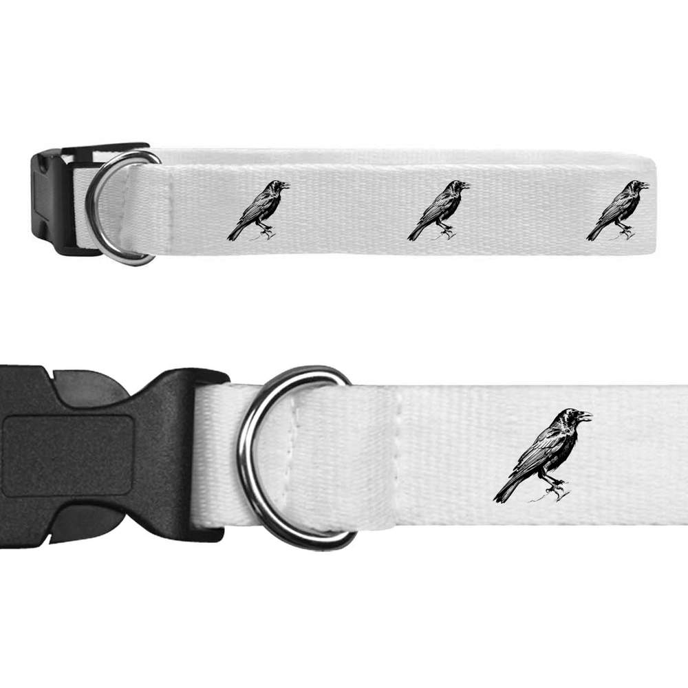 'Perched Crow' Dog Collars (PR046180)